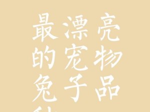 伊洛纳游戏中兔子尾巴的实用价值探索与管理技巧