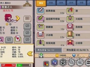 伊洛纳装备升级全攻略，如何提升等级实现价值最大化