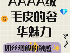 AAAA性BBBB的全面解析：深入了解其特性、应用与未来发展前景