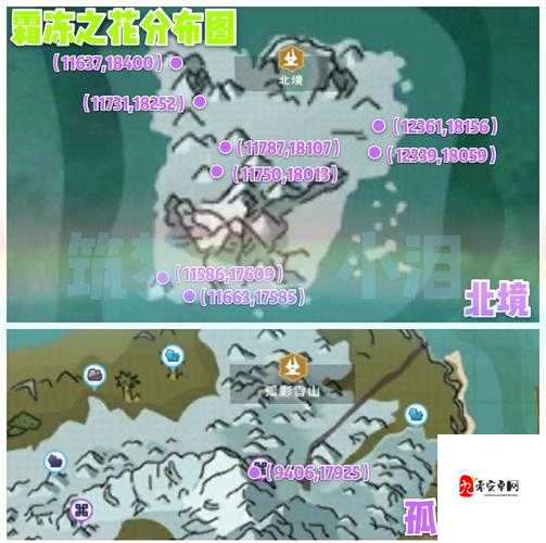 探索创造与魔法中的霜冻之花,奇妙用途揭秘