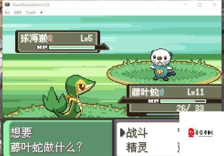 口袋妖怪金银详细攻略,资源管理的艺术