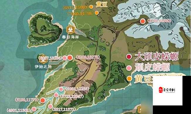 创造与魔法,顽皮蝾螈实用性深度剖析