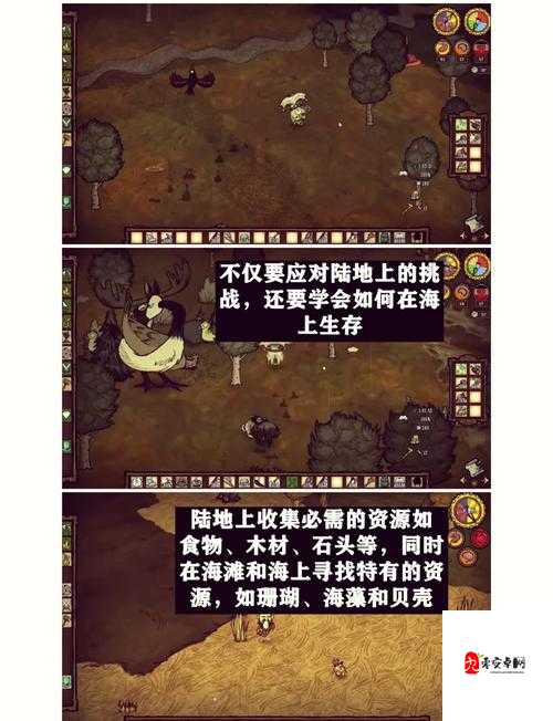 饥荒养什么动物最好,资源管理视角下的策略分析