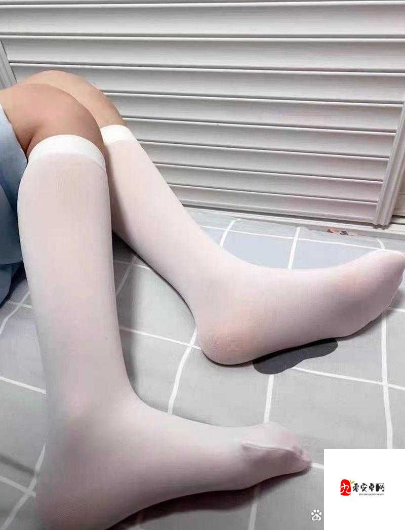 白丝校花甜美游戏:扒开美腿的极致诱惑