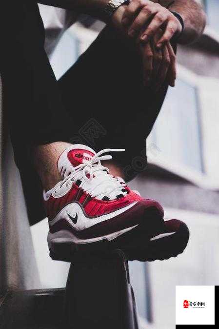 成品站 nike 源码免费:提供优质的相关资源与信息