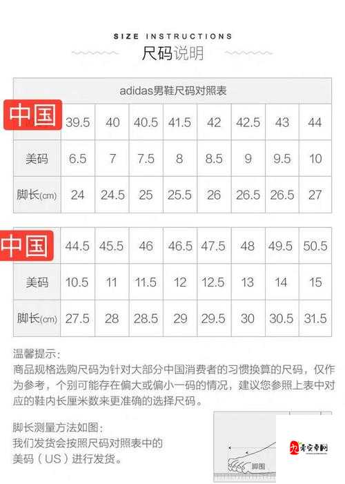 三叶草 M 码和欧洲码对比:尺码标准大不同