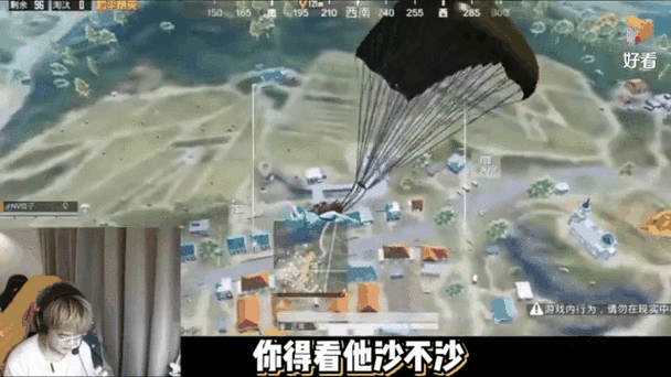 和平精英如何跳伞又快又远,跳伞技巧分享及其在游戏资源管理中的重要性