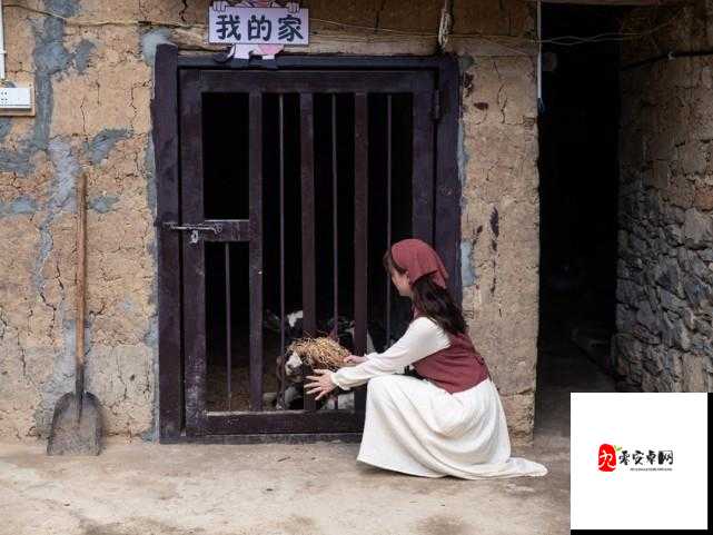 有一婷婷色:揭秘其神秘面纱