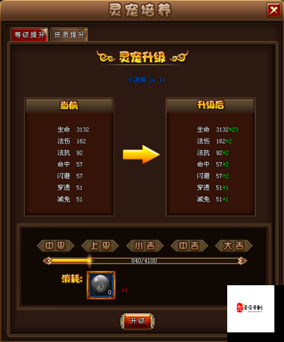 英雄战魂新版本增加了什么,宠物等级提升介绍及其资源管理