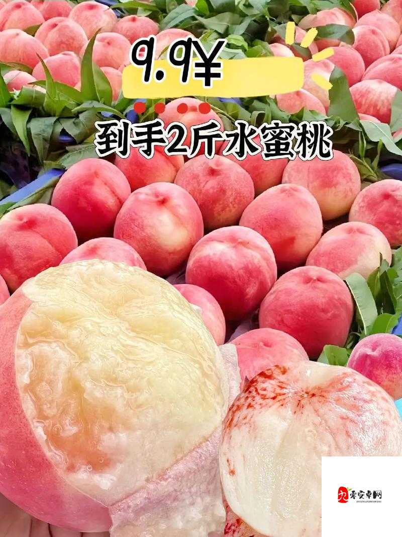 水蜜桃 2:香甜多汁口感佳营养丰富人人爱