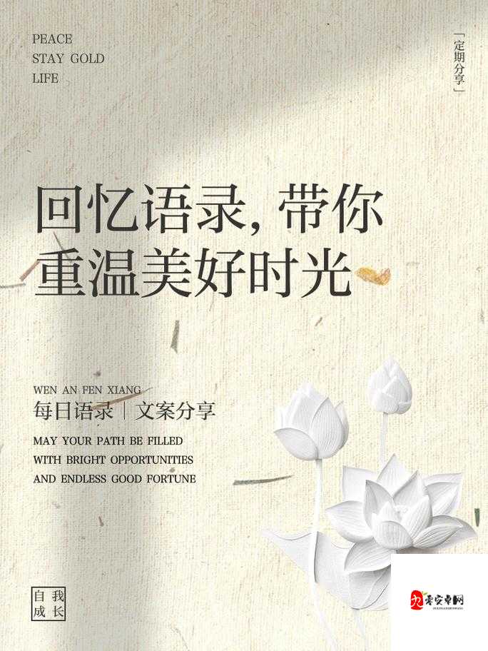 懵懂时光 276 话免费下拉:带你重温那段美好岁月
