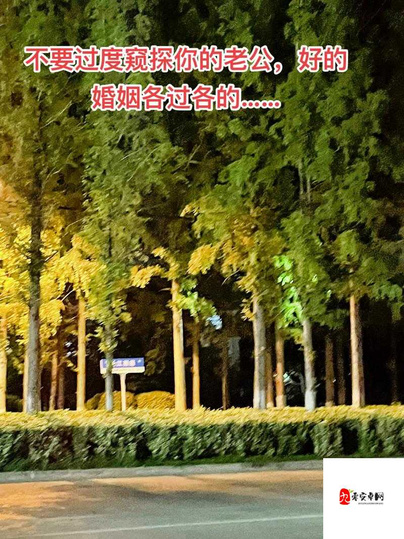 熟女人妻の私密视频:窥探婚姻背后的欲望与情感