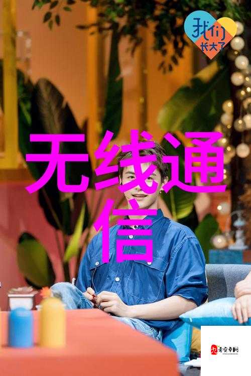 VIDEOCODEC WMVIDEODECODER 揭秘:深入探究其奥秘