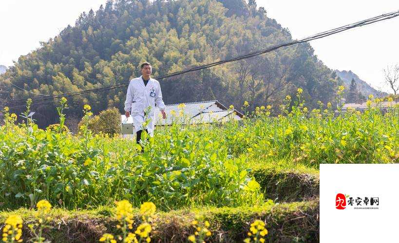乡村绝色狂医第 225 章人物介绍:走进乡村医者的精彩世界