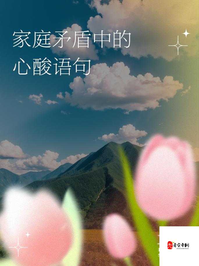 家庭大杂乱经典说说:家是温暖的港湾也是杂乱的战场