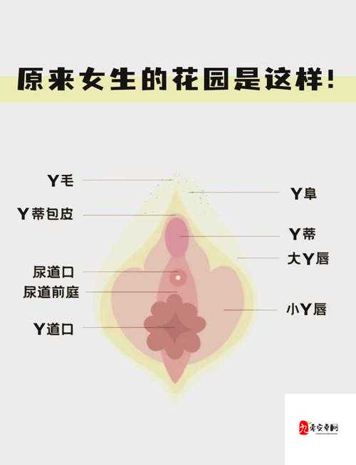 男生咬我私密部位:探索暧昧关系的边界