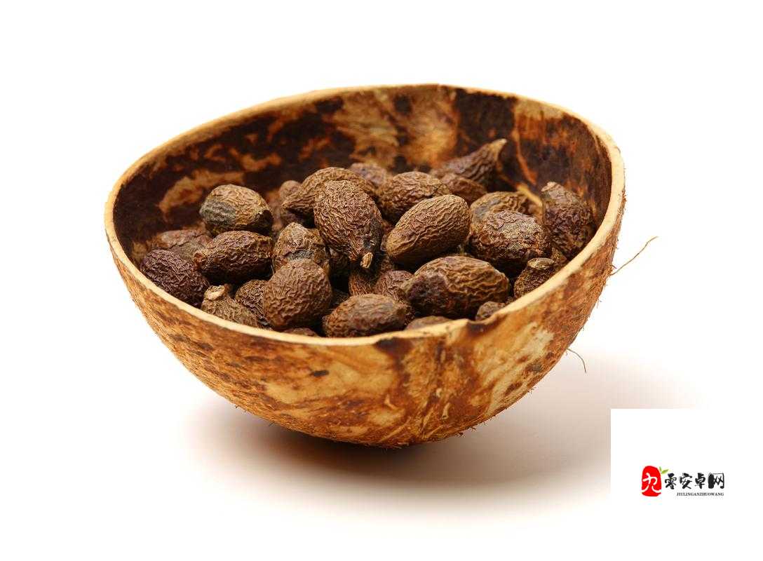美国人与动物胶配方大全:探索丰富多样的胶配方奥秘
