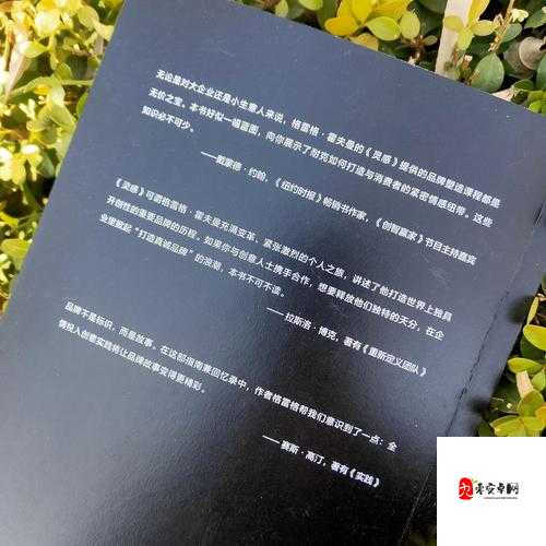 解锁创意源泉,绝对演绎灵感的奇妙获取之旅