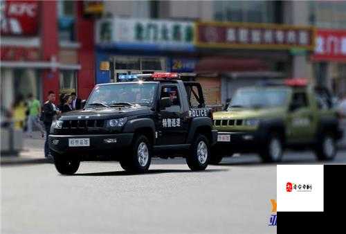 超级肉禽系统保安:守护家禽安全的钢铁卫士