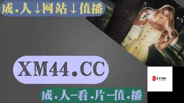麻豆国产传媒精品视频:演绎真实情感的视觉盛宴