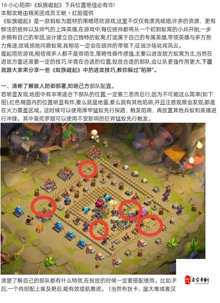 蚁族崛起,备赛阶段全攻略,助你称霸战场