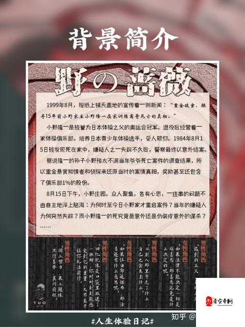 喋血复仇噩梦野排,硬核攻略与玩法深度剖析