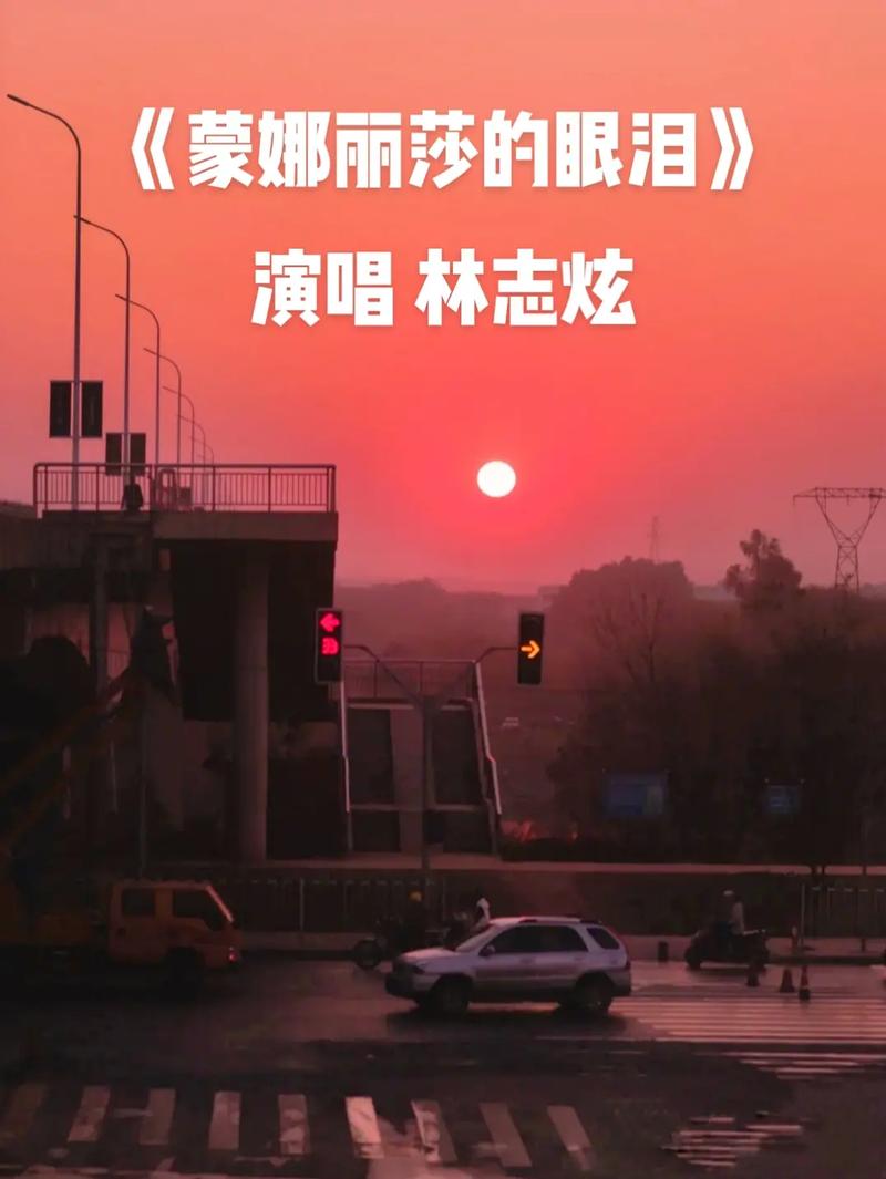 抖音热门旋律揭秘,那首让人共鸣的旧行李之歌