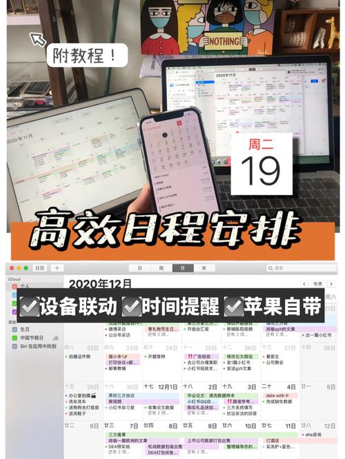 绿洲APP邀请码怎么填,资源管理、高效利用与避免浪费