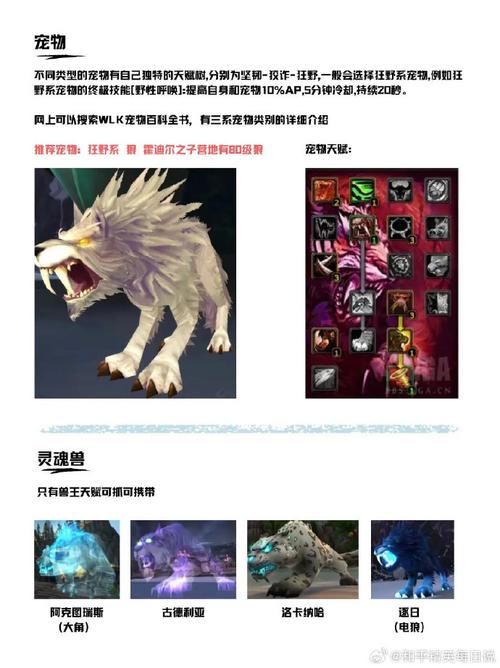 魔兽世界怀旧服服务器选择哪个好,资源管理的重要性与策略