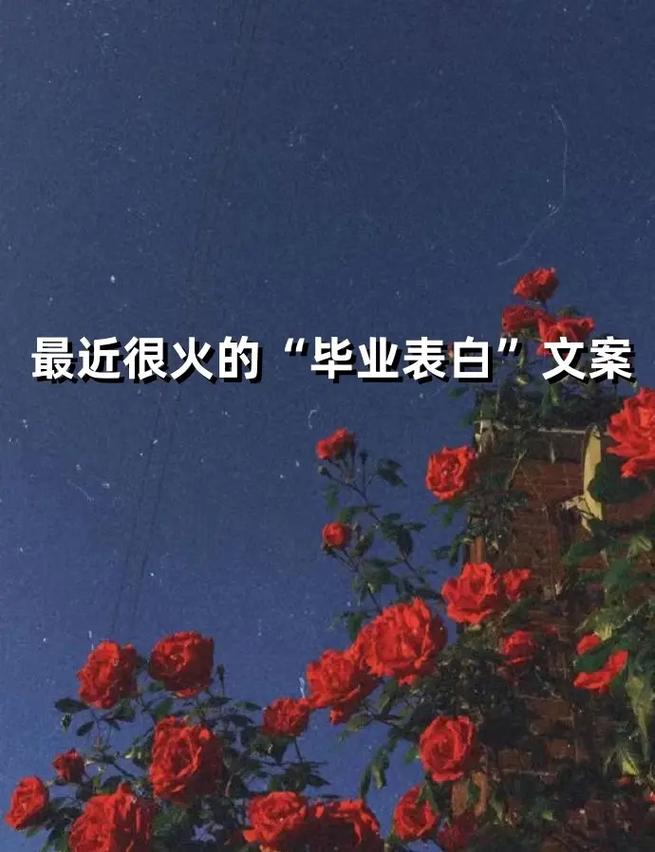 下一站我的大学,青春终章,梦想启航