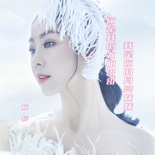 妹妹你是我的人是什么歌名——资源管理与价值最大化探讨