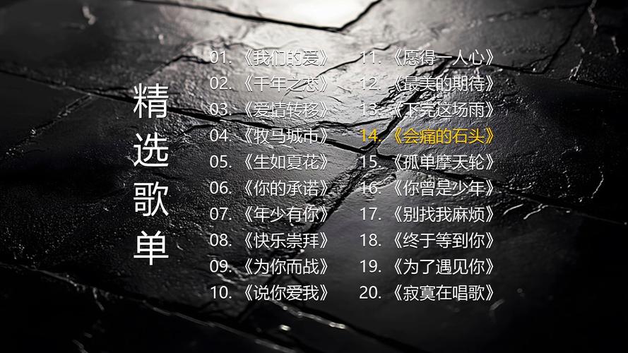 抖音热门歌曲哥哥你是我的人探析及其资源管理应用