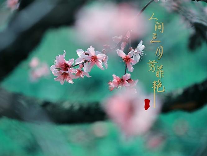 花开双生与叶本不相衬是什么歌,在资源管理与游戏中的深度解析