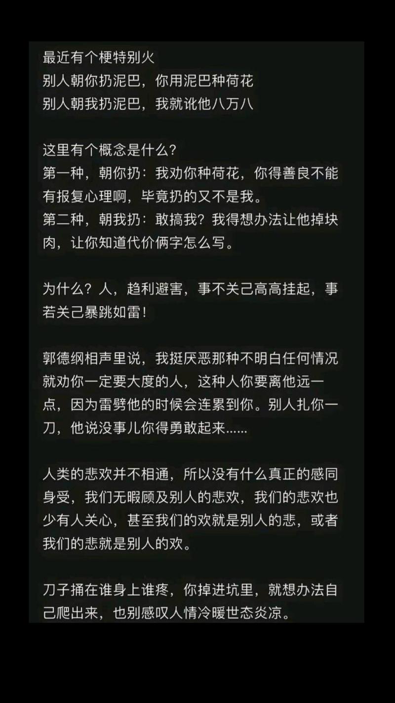 左手的泥呀右手的泥呀什么歌,在资源管理中的奥秘与实践