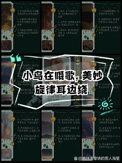 耳边低语,那首触动心弦的旋律