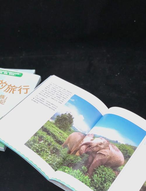 大象成品网站w灬源码1688究竟是什么?深入探究其背后的秘密与特点
