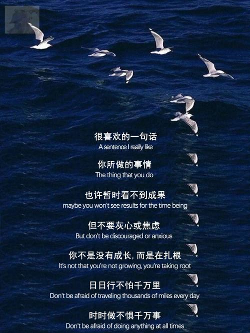 夜夜草人生:挑战与困难交织的旅程