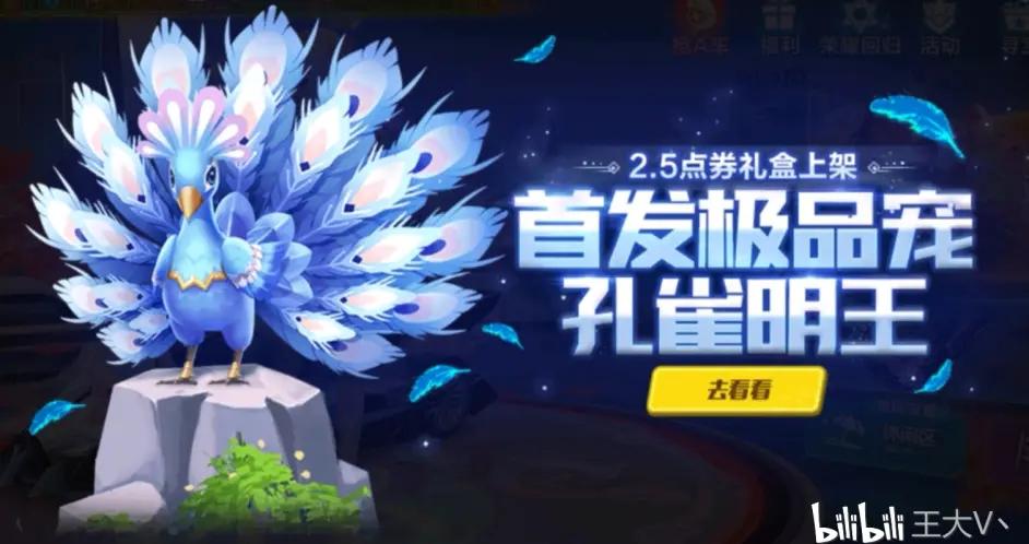 QQ飞车手游孔雀明王套装一览与装扮解析,资源管理的艺术