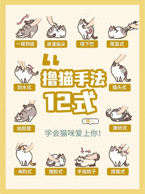 猫宅97如何提升好感值,猫宅97好感值提升攻略