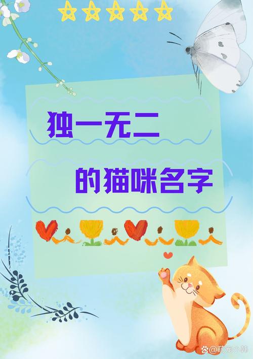 喵与筑猫咪怎么改名字？喵与筑猫咪改名字方法详解