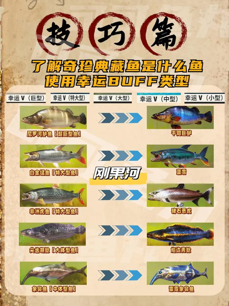 冰钓大师锦鲤怎么钓,钓锦鲤方式详解
