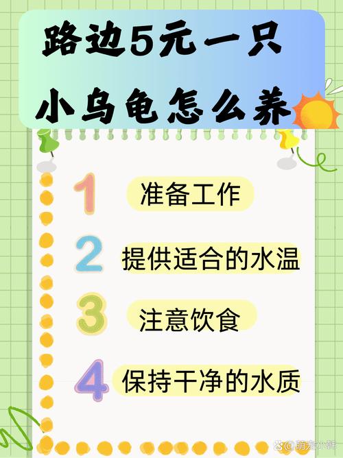 魔法5级龟饲养秘籍!必看的成长食谱与进阶技巧