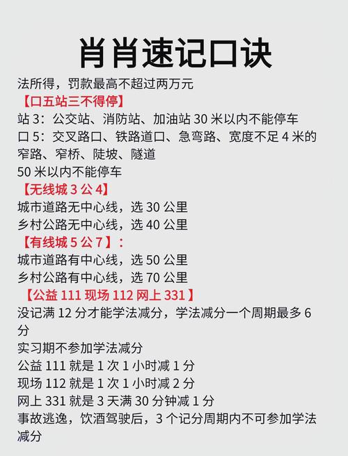 当代人生驾驶考试必看!手残党也能轻松通关的绝绝子技巧+避坑攻略